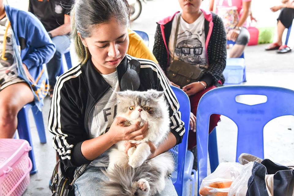 โครงการควบคุมและป้องกันโรคพิษสุนัขบ้าด้วยการทำหมั่น ภายใต้โครงการสัตว์ปลอดโรค คนปลอดภัย จากโรคพิษสุนัขบ้า